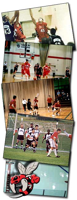 Some of the many sports activities found at Seneca College.